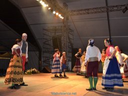 Festival de Folkore en Mula